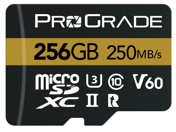 microSDXC UHS-II V60 Memory Card (250MBps)