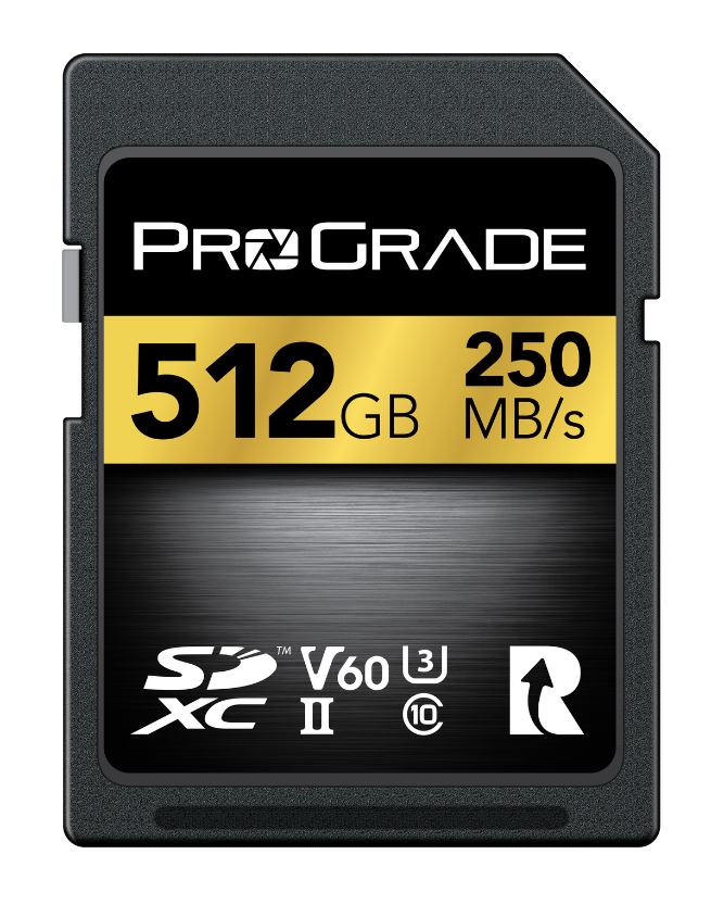 Manufacturer Refurbished ProGrade Digital SDXC UHS-II V60 250R Memory Card