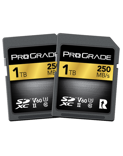 Purchase SDXC UHS-II, V60, 250R Memory Cards | ProGrade Digital