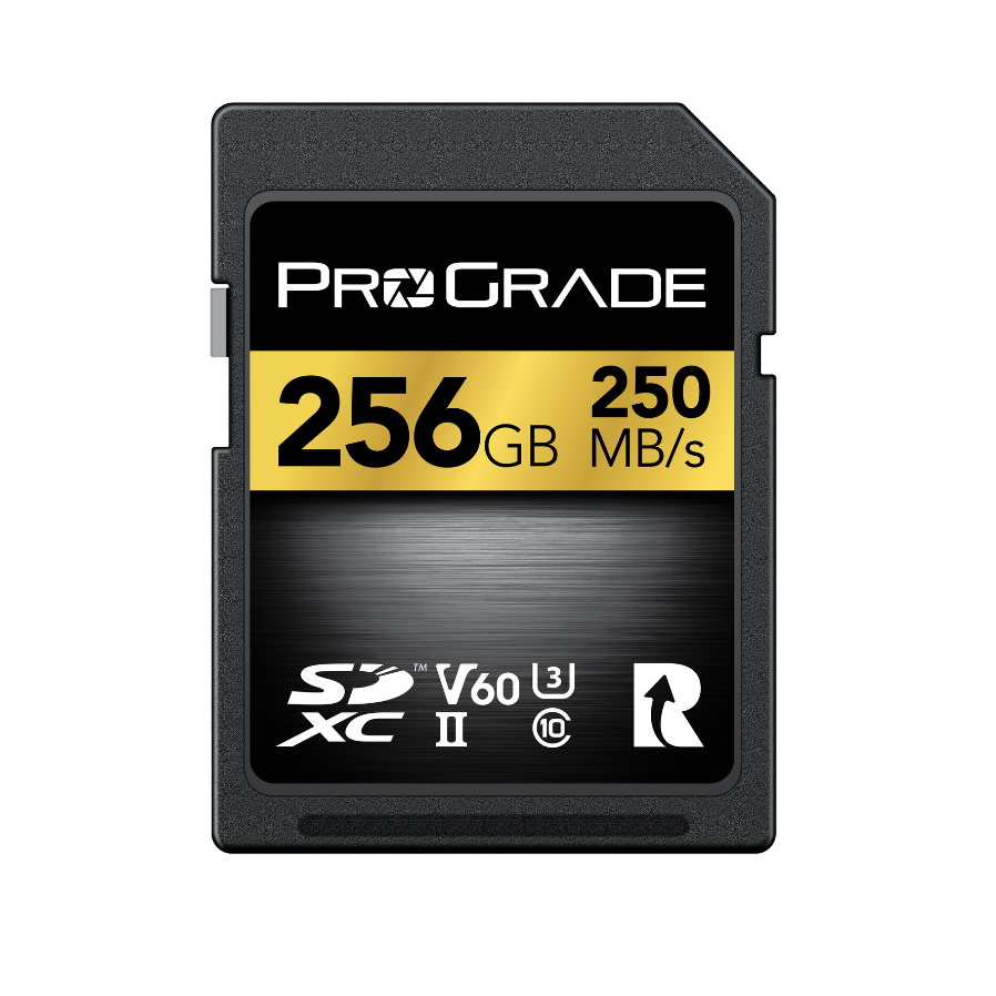 ProGrade Digital SDXC UHS-II V60 250R Gold Memory Card