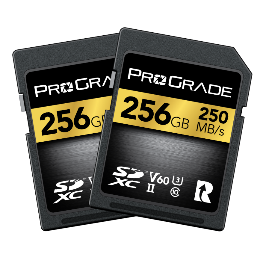 ProGrade Digital SDXC UHS-II V60 250R Gold Memory Card