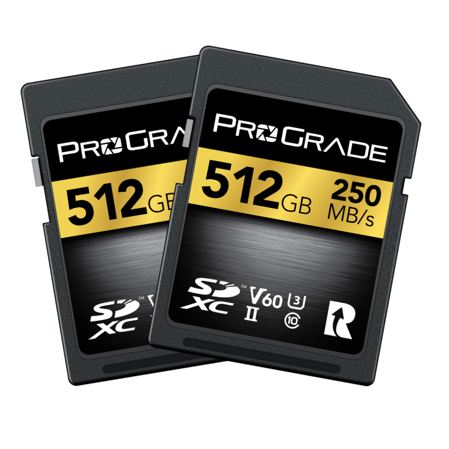 ProGrade Digital SDXC UHS-II V60 250R Gold Memory Card