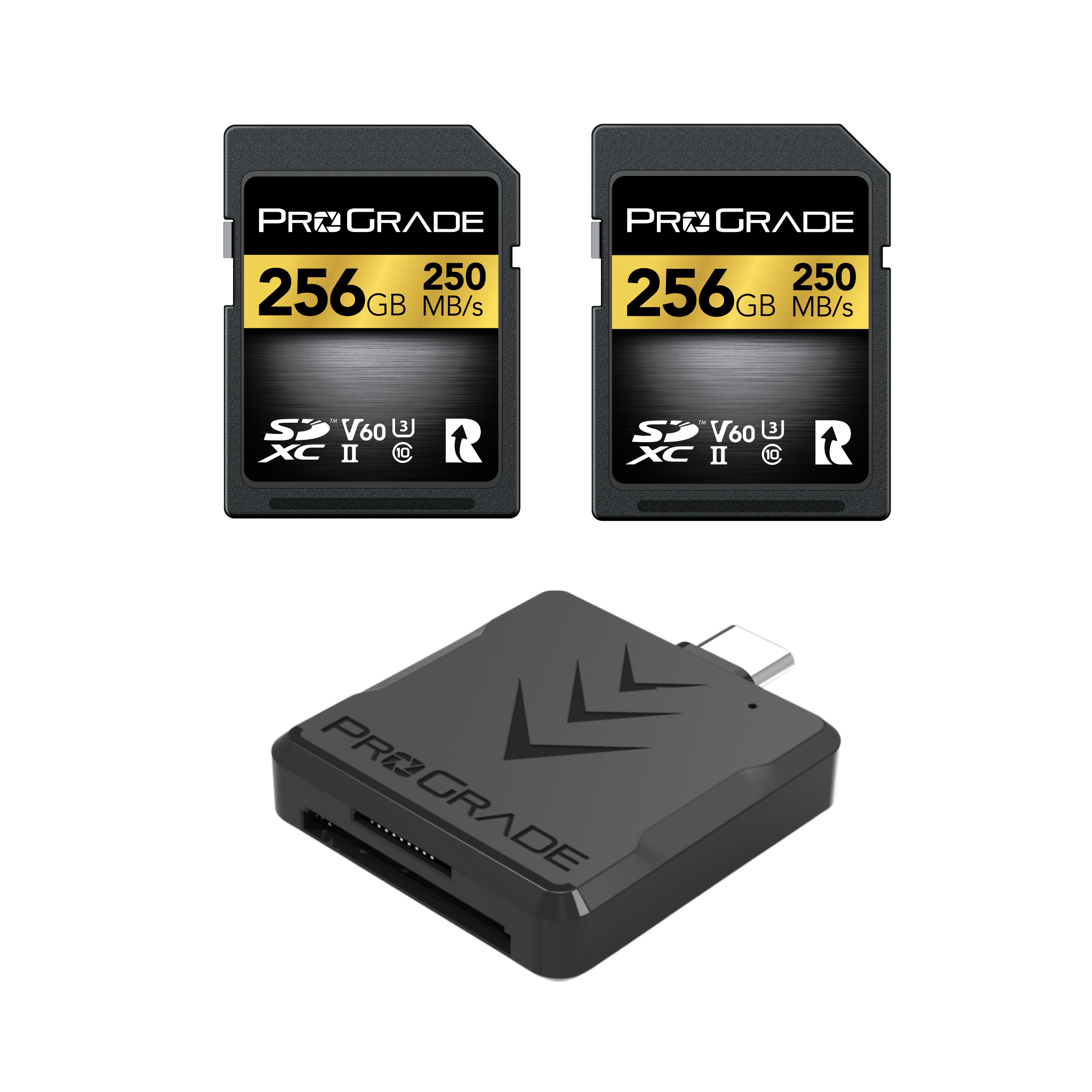 Sandisk v60 2025