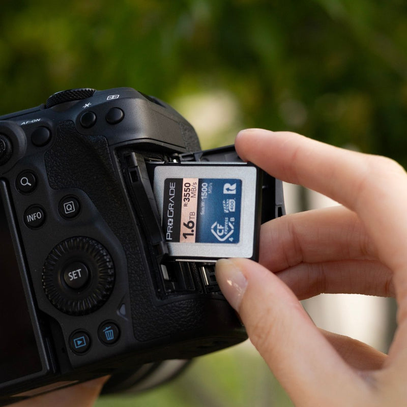 Purchase Memory Cards & Memory Card Readers | ProGrade Digital Purchase Memory Cards & Memory Card Readers | ProGrade Digital
