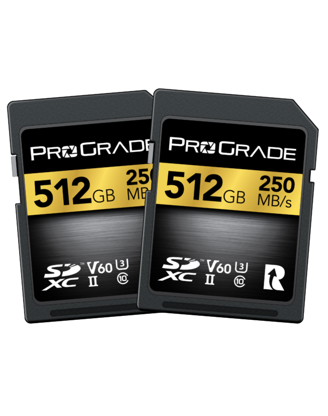 Purchase SDXC UHS-II, V60, 250R Cards | ProGrade Digital