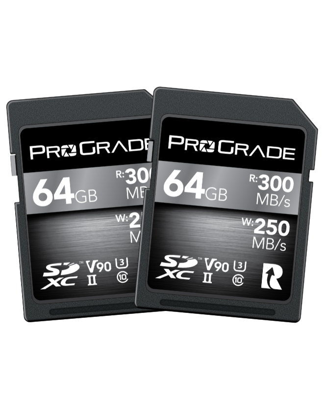 ProGrade Digital SDXC UHS-II V90 300R Memory Card